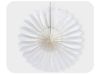 Picture of 3D Tissue paper fan