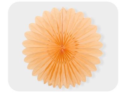 Picture of 3D Tissue paper fan