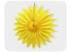 Picture of 3D sunflower shape tissue fan