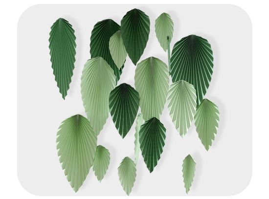 Picture of Boho Style Leaves palm Leaf Style Paper Fan Party Decoration