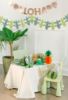 Picture of Cactus Paper Garland 3.6M(L)